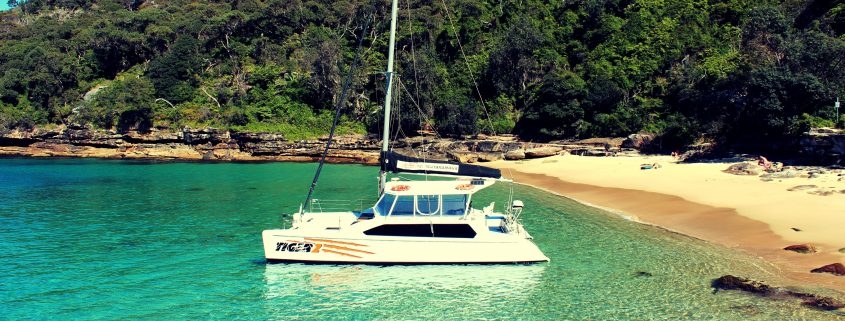 TIGER II - 35' Seawind Catamaran - Smart Cruiser Sydney